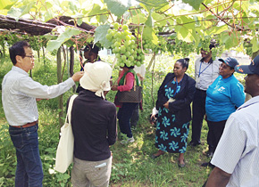 A visit to Katashimo Wine Foods Co. The participants visited vineyards under the personal guidance of company president Takai, who also talked about regional promotion in the area. to agricultural business sites in KansaiVisiting agri-business sites in Kansai