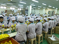 A labor intensive strategy is used due to high-mix low volume production.