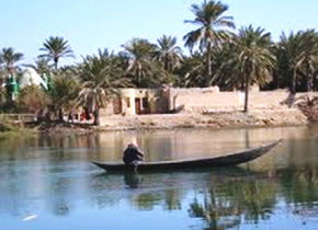 A region a participant is in charge of (Amarah marsh, Iraq): A large number of reeds are grown here, and there are traditional buildings, etc. made from weaving the reeds together.