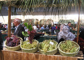 A region a participant is in charge of (Hebron, Palestine): Tourism promotion is taking place, naturally with historical monuments, as well as with grapes, a regional specialty.