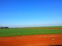 パラグアイの青空と赤土の大地