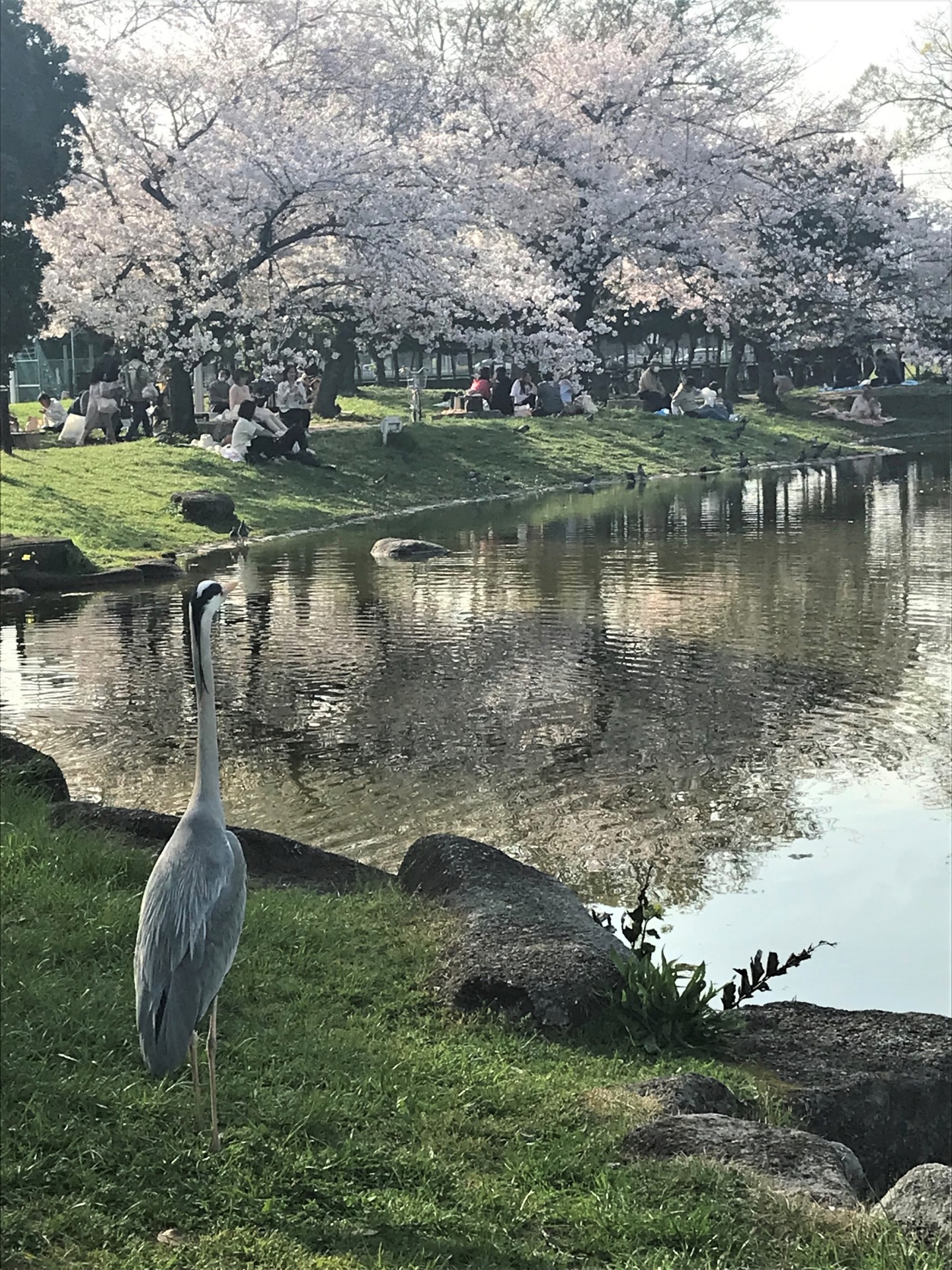 SUUMO】ウインザー春日公園 | 中古マンション物件情報