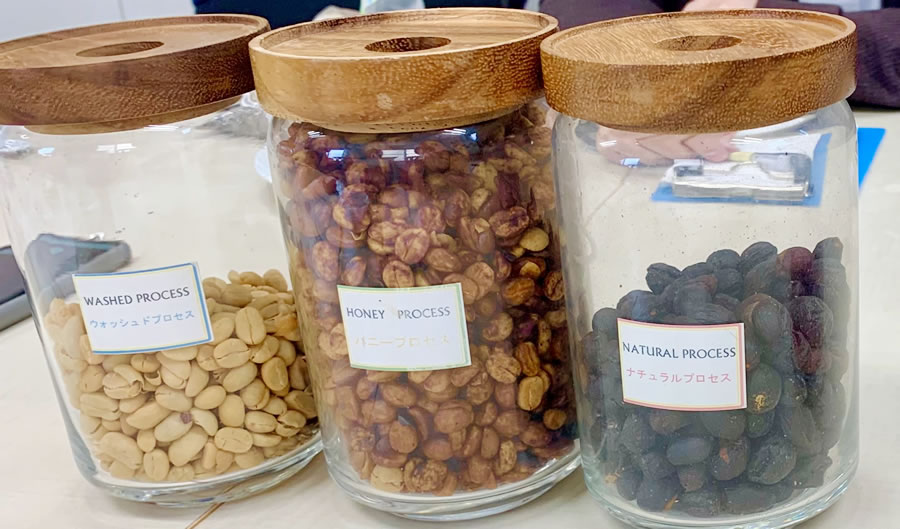 There are three types of coffee beans: (1) those that leave the fruit, (2) those that leave a little of the fruit, and (3) those that leave only the seeds, each with a different flavor.
