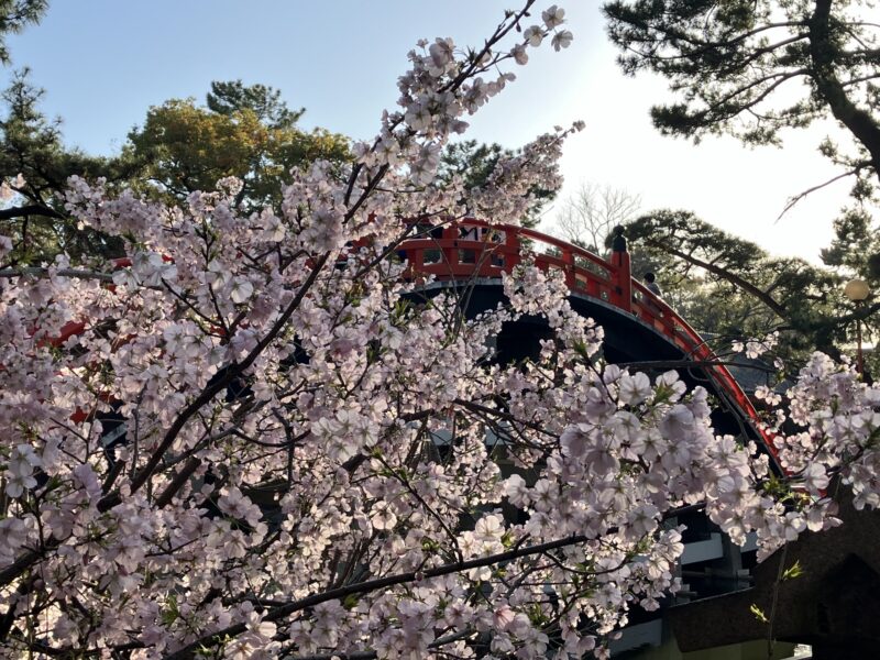 スタッフコラム 山内