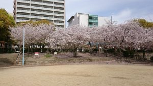 スタッフコラム④　瀬戸口