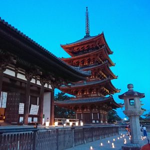 スタッフコラム⑧　奥村