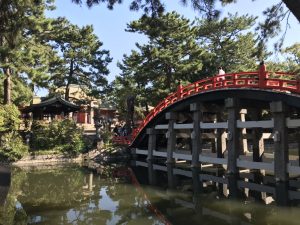 スタッフコラム⑩ 山内