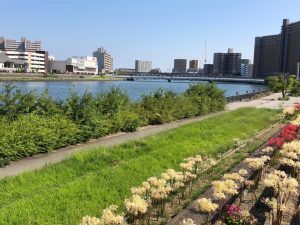 スタッフコラム⑨　岡本