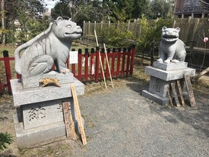 スタッフコラム㉔ 小河