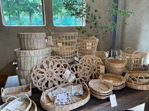 スタッフコラム⑧　佐賀