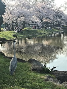 スタッフコラム㉒ 山内