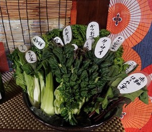 スタッフコラム 尾崎