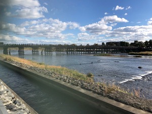 スタッフコラム 岡本
