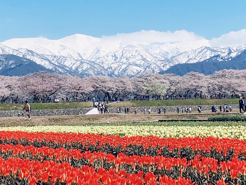 スタッフコラム 池田