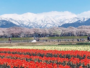 スタッフコラム 池田