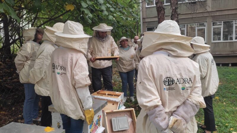 訪日研修での学びを生かし北マケドニアで「養蜂家育成プロジェクト」