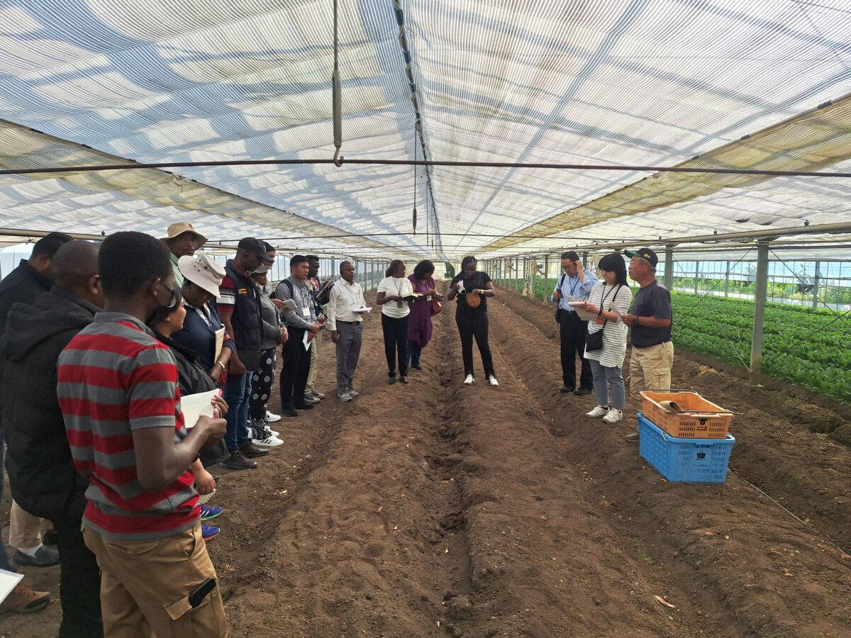 JICA研修　英語圏アフリカ　市場志向型農業振興　―SHEPアプローチ―（行政官)(A) ＜2025年5月～2025年6月＞